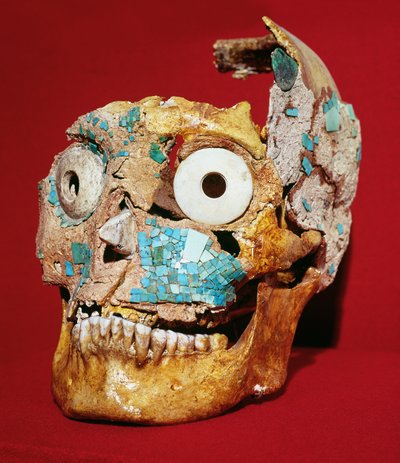Teschio decorato con un mosaico in turchese e avorio, Mixtec, dalla Tomba 7, Monte Alban, 1300-1450 da Pre Columbian
